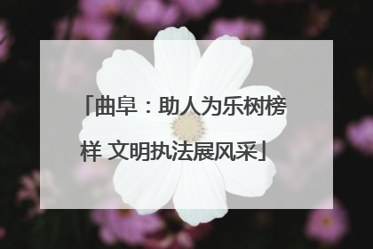 曲阜：助人为乐树榜样 文明执法展风采